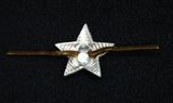 Odznak malá hviezda strieborná