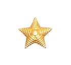Odznak malá hviezda